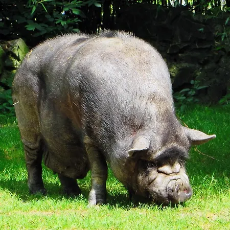D'hôtes Et à La Ferme De L'oudon&spa 4* Berville (Calvados)