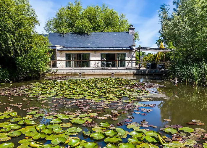 Bed & Breakfast D'hotes Et A La Ferme De L'oudon &