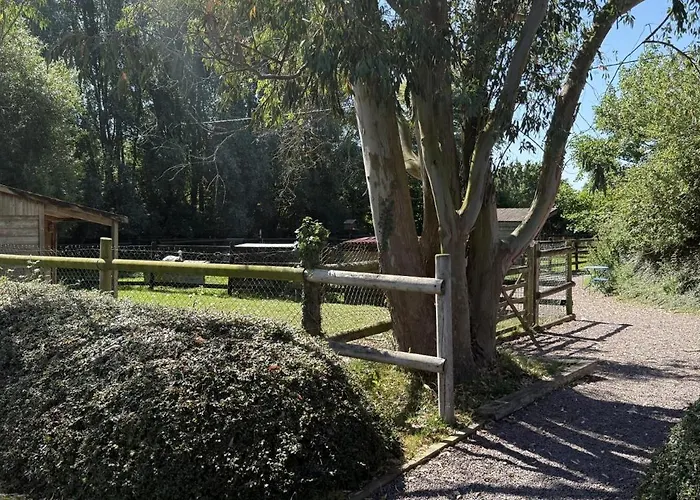 D'hotes Et A La Ferme De L'oudon & Oda ve Kahvaltı 4*