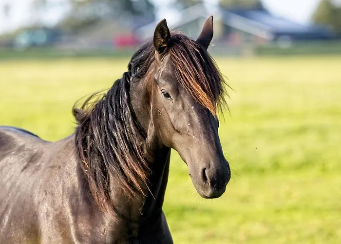 D'hotes Et A La Ferme De L'oudon & Oda ve Kahvaltı 4*