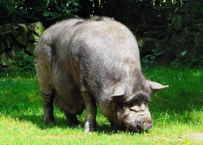 D'hotes Et A La Ferme De L'oudon & 4* Berville (Calvados)